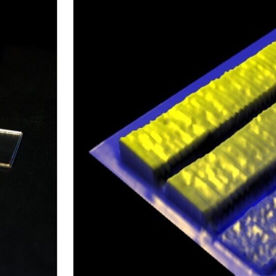 LBIC MADRAS#2 photodetectors and solar cells